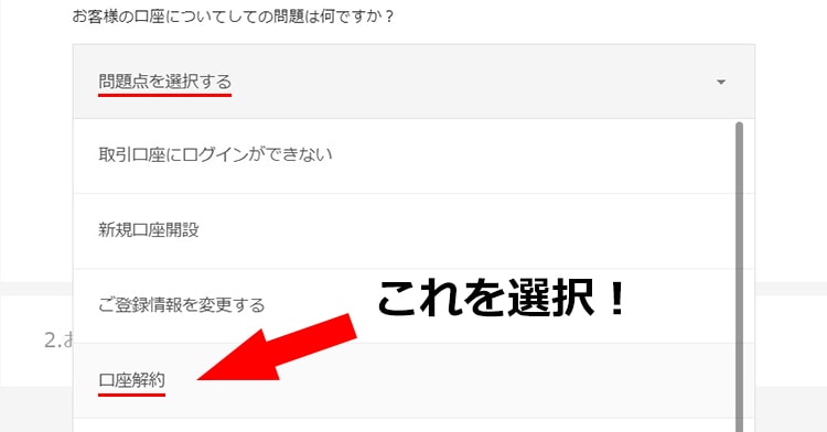 問題点を選択